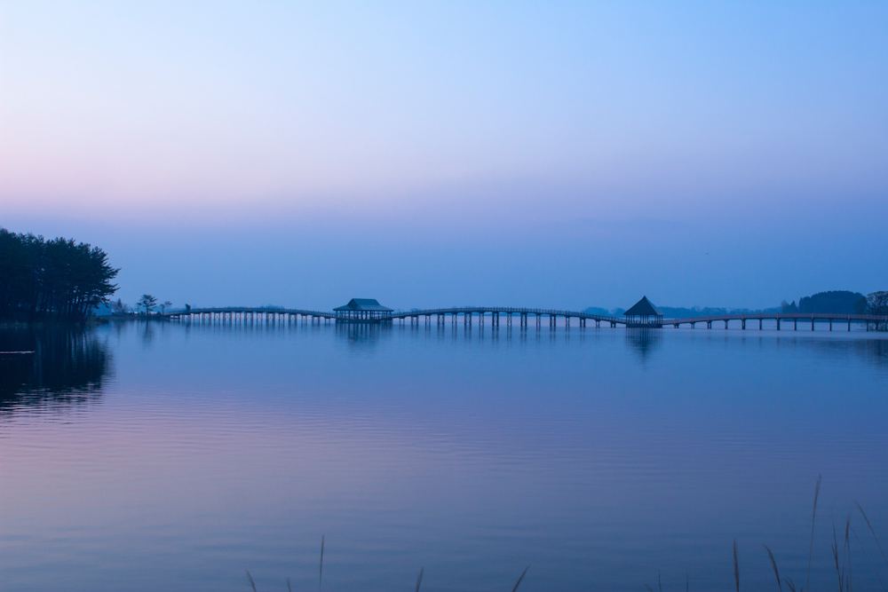 秋　鶴の舞橋